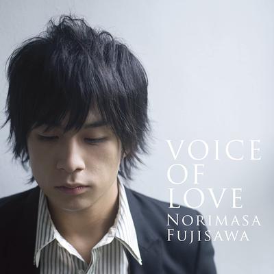 CD NORIMASA FUJISAWA - VOICE OF LOVE -ainochikara- MUCD1193 Dreamusic 2008 Japan Japanese Pop/Rock Used