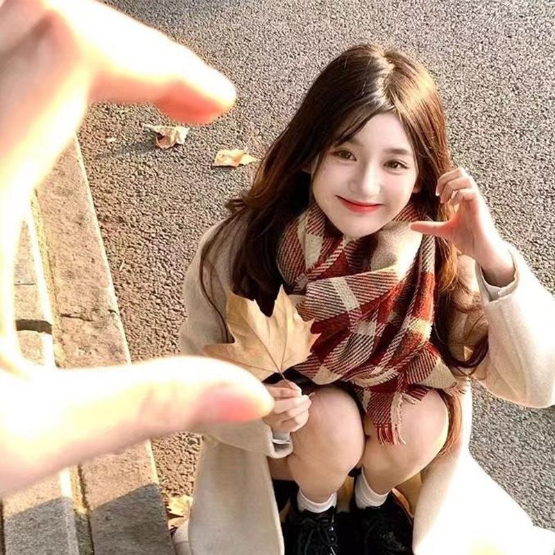 Autumn and Winter Scarves Women's Winter High-end Scarves Thickened and Warm Tonglu Imitation Cashmere Plaid Scarves