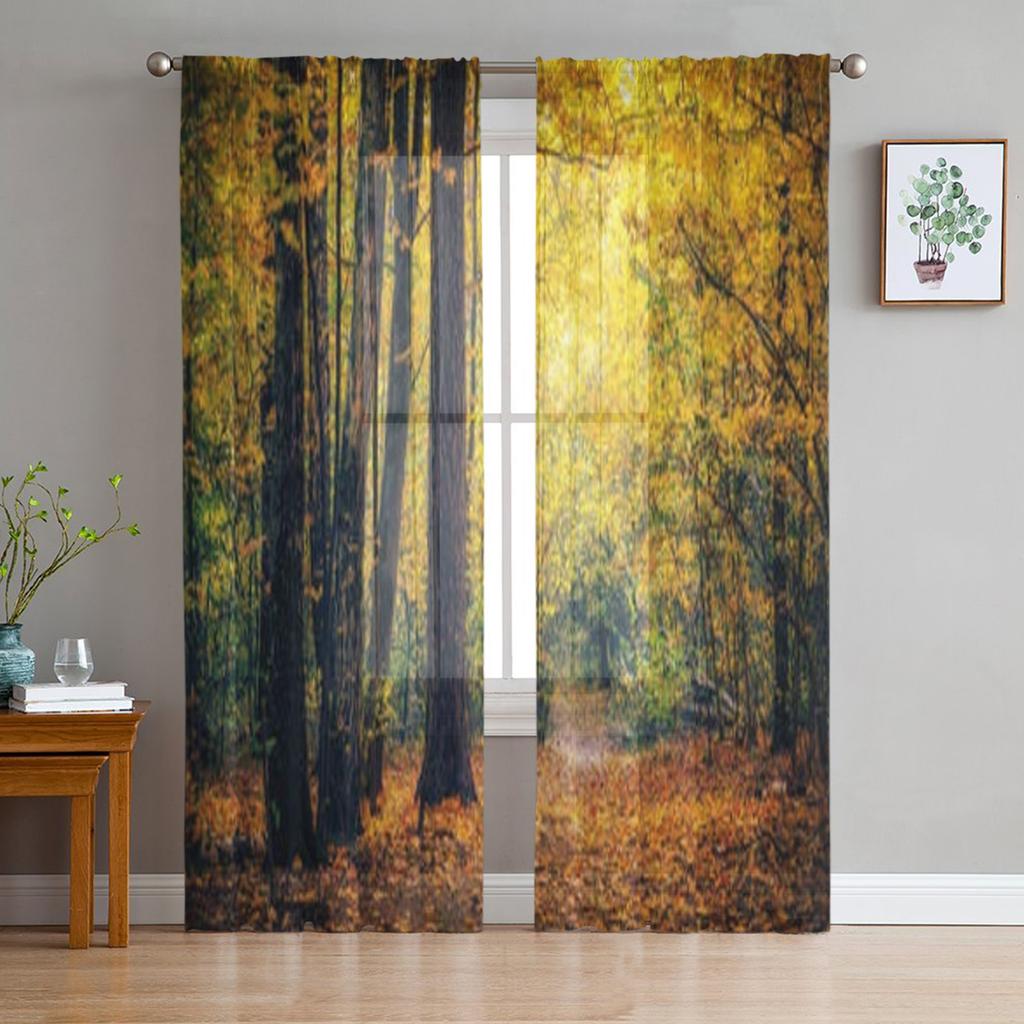 Winter Forest Tatra Mountains Poland Sheer Curtains for Living Room Transparent Tulle Window Curtain Bedroom Kitchen Veil Drapes