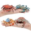 Realistic Marine Animal Crab Figurine For Kids Learning Aquarium Display