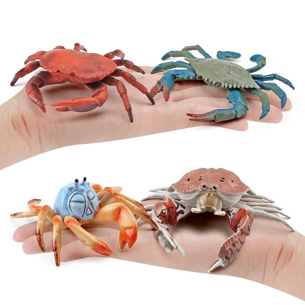 Realistic Marine Animal Crab Figurine For Kids Learning Aquarium Display