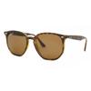 Ray Ban Rb4306 Polarized 710 83 Unisex Sunglasses