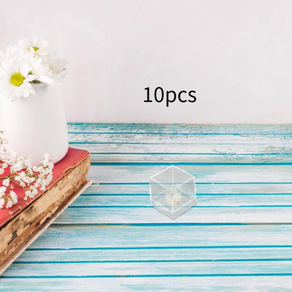 10 Pieces Mineral Display Boxes Display Holders Dustproof Multifunctional Sample Containers Mini Storage Boxes for Jewelry