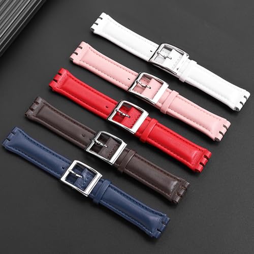 ZHUOLEI Swatch Watch Strap, 17mm/19mm [Includes 3 Spring Bars, Spring Bar Remover, and Box] (A-Blue, 19mm)