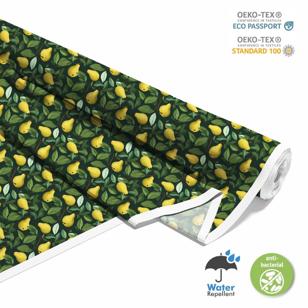 Outdoor Dekostoffe Oxford - Motiv Obst | Dx6950