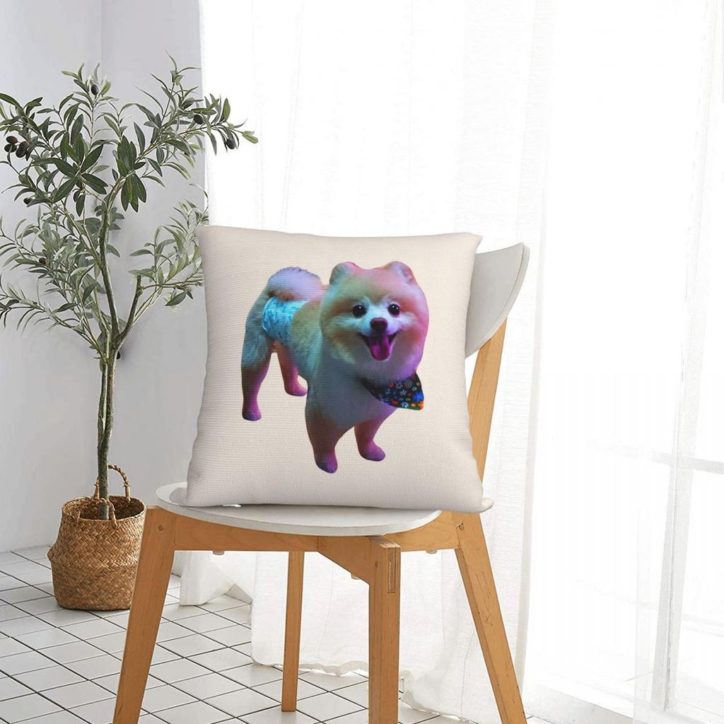 Cute Pomeranian Dog Square Pillowcase Pillow Cover Cushion Throw Pillow for Home Bedroom Car