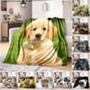 1 Stück Hund niedliche bedruckte Decke, Ganzjahres-Leichtdecke für Zuhause, Büro, Outdoor-Nickerchen, multifunktionale Decke A11