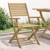 VidaXL Set of 2 Folding Garden Chairs, Seats with Backrest, Outdoor Patio Terrace Furniture, Modern, Solid Wood 365737