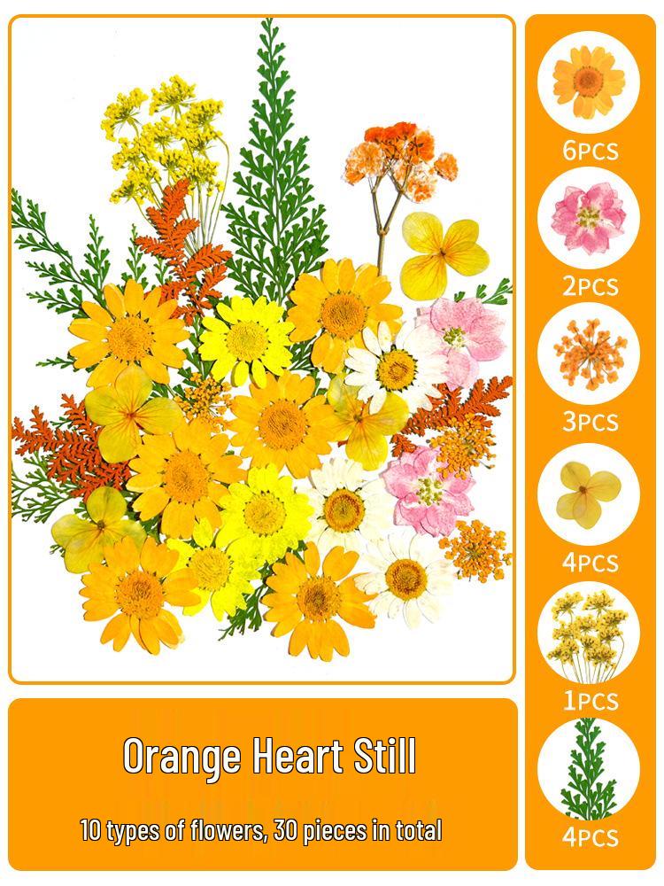 Creative DIY Bookmark Kit: Blank Cards with Embossed Dried Flowers and Leaves