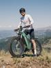 DUOTTS E26 Fat Tire Electric Bike - 750W Motor, 48V 20Ah Battery, 26"×4.0 Tires, 120KM Range,