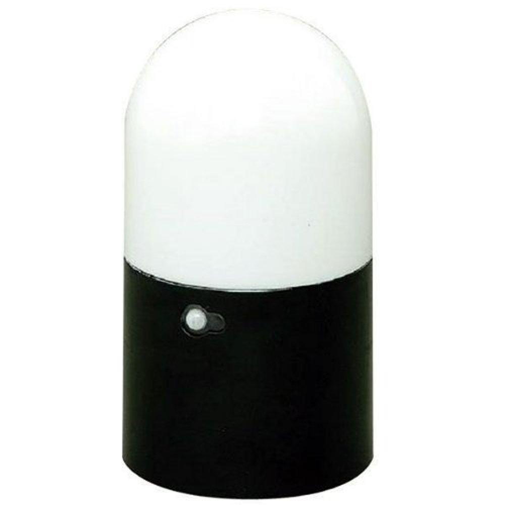 

Iris Ohyama Sensor Light Garden LSL-ME