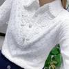 Women's Lace Peter Pan Collar Fleece-Lined Long Sleeve Shirt: Fashionable Base Top for Spring, Autumn, and Winter