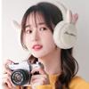 Cartoon Doll Wind Proof Earflap Plush Earmuffs Children Ear Cover Winter Ear Cover Women Earmuffs