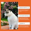 Spray Anti-arañazos para Gatos 100ml Fragancia a Naranja Protectores de Sofás y Cortinas Zona Restringida Detiene Arañazos de Gatos y Perros Ayuda de Entrenamiento para Mascotas