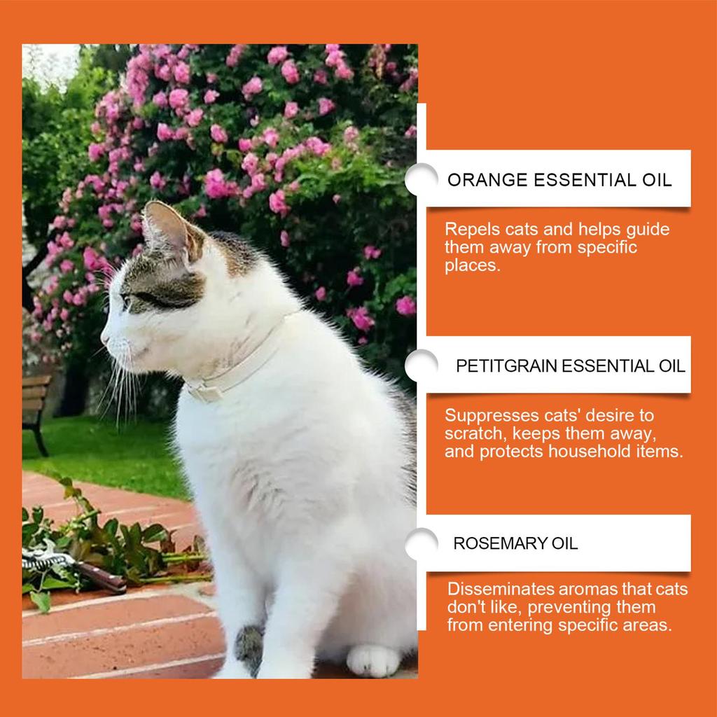 Spray Anti-arañazos para Gatos 100ml Fragancia a Naranja Protectores de Sofás y Cortinas Zona Restringida Detiene Arañazos de Gatos y Perros Ayuda de Entrenamiento para Mascotas
