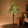 Olivenbaum LED Dekorative Lampe