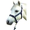 Gallop Nylon Horse Headcollar and Leadrope Set