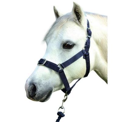 Reitsport – Zaumzeug & Zügel