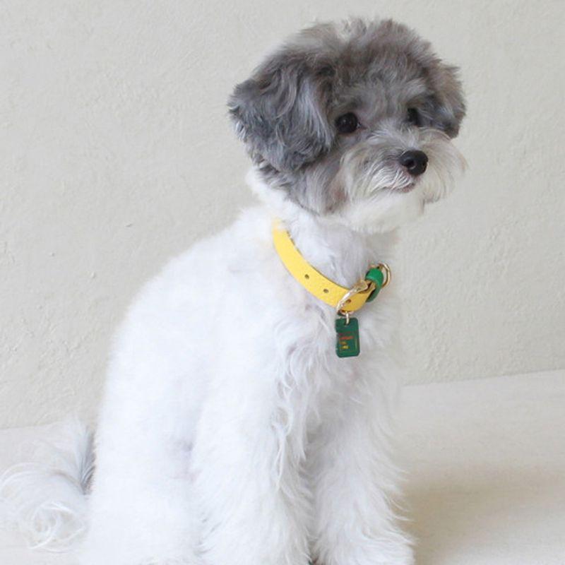 MAISON DE MIU Petsnal Color Leash Yellow/Green