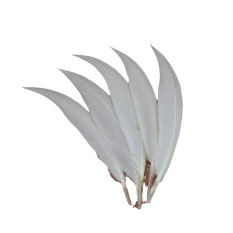 White Feathers for DIY Dream Catchers & Craft Decorations