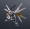 TAMASHII NATIONS GUNDAM UNIVERSE Mobile Suit Gundam SEED FREEDOM ZGMF/A-262PD-P MIGHTY STRIKE FREEDOM GUNDAM (Mighty Strike Freedom Gundam) Approx