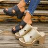 Thick Heel Women Platform Sandals Roman Style Slip-On Shoes Hollow Out Designer Sandals Large Size Comfortable Shoes for Women