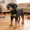 Realistic Standing Black Dog Stuffed Plush Toy Simulation Animal Doll Kids Gift Photo Shooting Props Children Comfort Plush Toy