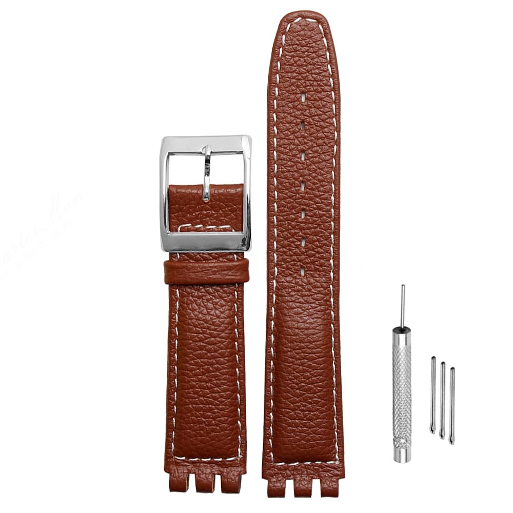 ZHUOLEI Swatch Watch Includes 3 Spring Spring Bar and Box Strap, 17mm/19mm, Bars, Remover,