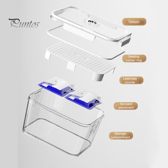 2300/5500ML Airtight Crisper Box with Time Recording Disk Reusable Food Storage Container Fruits Vegetables Loaf Keeper Box for Kitchen Counter