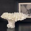 Modern Coral Ornaments Art Creative Aesthetic Miniature Ornament Minimalist Funny Accessories Home Interior Room Decorations