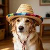 Carnival Hat, Mini Mexican Straw Hat, Natural Colorful Braided Edge Hat, Breathable Festive Party