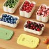 Innovative Timer Refrigerator Sealed Box for Organizing Fruits Vegetables Fridge Food Organizer with Drain Basket