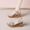 Wedge heel sandals female 2025 summer new versatile fairy wind thick-soled muffin soft-soled heightening rhinestone Roman sandals