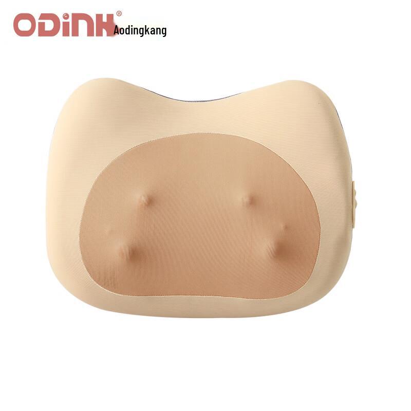 ODINK A-K301C Smart Door Lock