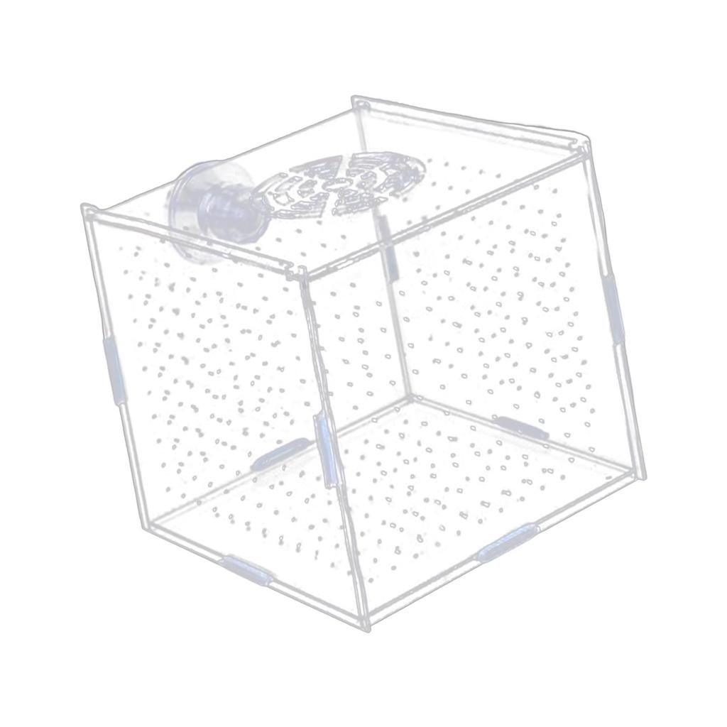 Breeding Isolation Container for Acrylic Tanks with Fry Holder