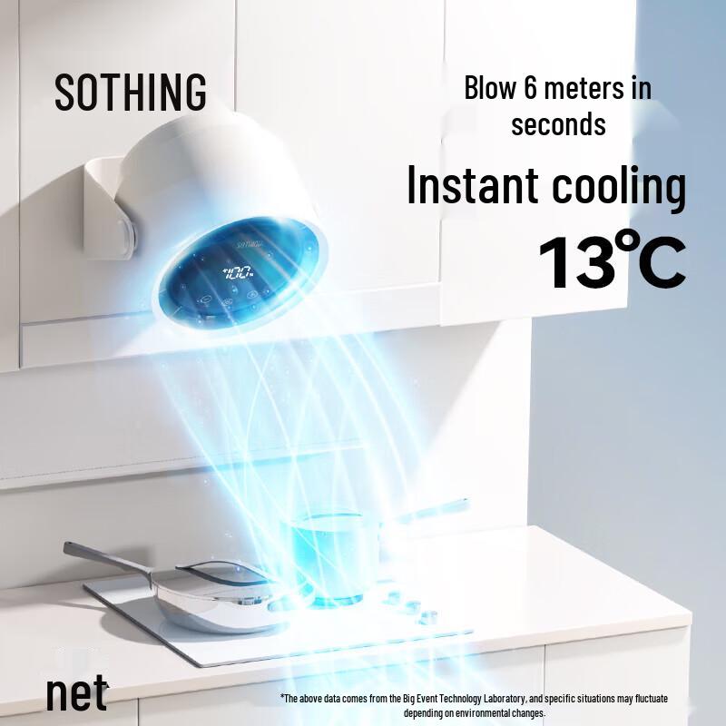 SOTHING Portable Air Circulator with Oil Smoke Filter