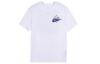 T Shirts Men's White Crew Neck Moderate Straight Fit DD1285-100