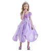 Sophia Flower Puffy Skirt Girls' Dress 2025 with Accessories