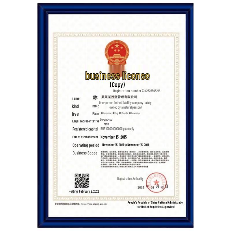 

A4 Wall-Mounted Business License & Document Frame