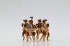 52TOYS BEASTBOX BB 48 DESERT ASSAULT SQUAD Assault ABS Painted Movable Figure [Desert Squad] Non-scale