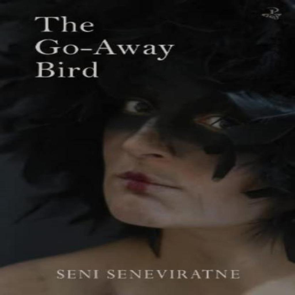 The GoAway Bird by Seni Seneviratne Paperback Book 9781845235567