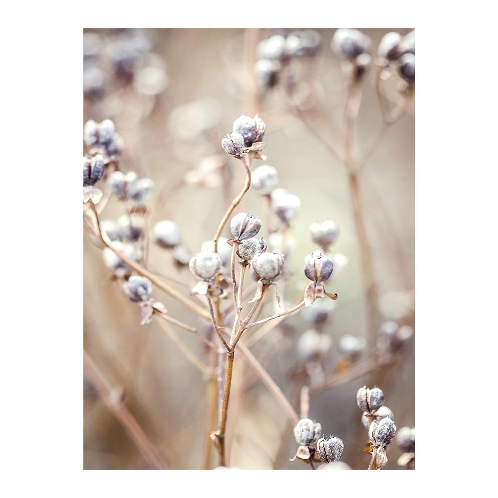 Lion Leopard Nature Canvas Painting Reed Beige Scandinavian Decorative Wall Art Poster Print Landscape Pictures for Living Room