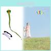8meter To 15meter Polyester Snake Kite With Mechanical Craft For Festival And Party Use