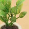 3Pcs 1/12 Green Plant In White Pot Miniature Dollhouse Garden Accessories