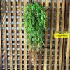 Artificial Spider Plant & Fern Hanging Decor - Trailing Green Vines for Wall & Ceiling