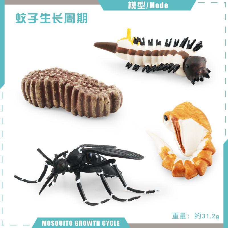Detailed Pvc Insect And Animal Model Toys Snail Dragonfly Mosquito Grasshopper Realistic Life Cycle Stages