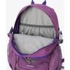 Castle Rock 15L II Rucksack Tagesrucksack Tasche für Outdoor-Wandern PU8664 536 [Columbia] Damen & Herren Wasserabweisend Schule, Aktivitäten,