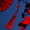 Tassels Adornment Colorful Hanging Pendant Bag Decoration Tassels Suitable for Purse Decors and Holiday Souvenirs