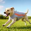 Lightweight Breathable Dog Cooling Vest Summer Pet Cooling Jacket Mesh Fabric Soft Dog Clothes for Hot Weather Outdoor Activities