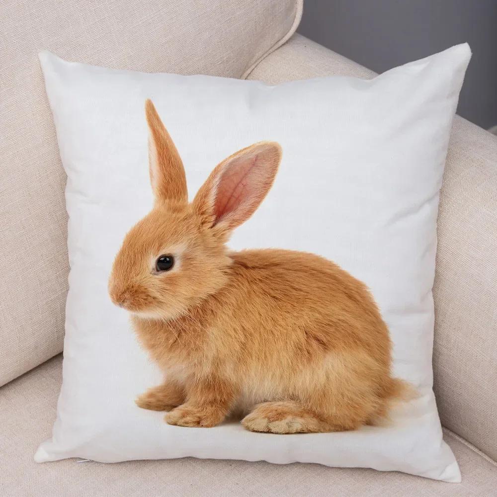 Home Sofa Kids Room Decor Cute Pet Animal Print Cushion Cover Pillowcase  Rabbit